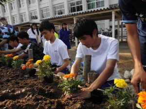 花壇にマリーゴールドを植える生徒